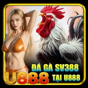 Hướng Dẫn Cách Chơi Đá Gà SV388 tại U888 Mới Nhất 2025